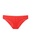 Basic Bikini