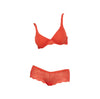 Rough & Tumble Lace French Knicker